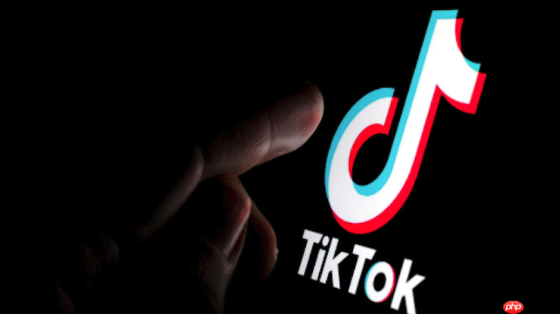 tiktok国际版网页入口-tiktok国际版官方网站入口