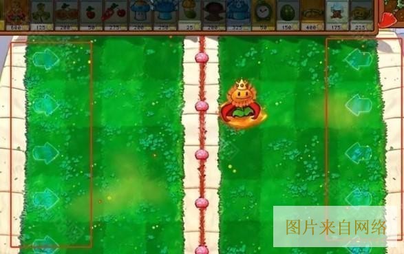 植物大战僵尸杂交版3.1