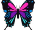 流星蝴蝶剑手机单机版下载-流星蝴蝶剑手游单机版下载