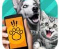 pet translator宠物对话翻译器下载-pettranslator动物语言翻译器最新版